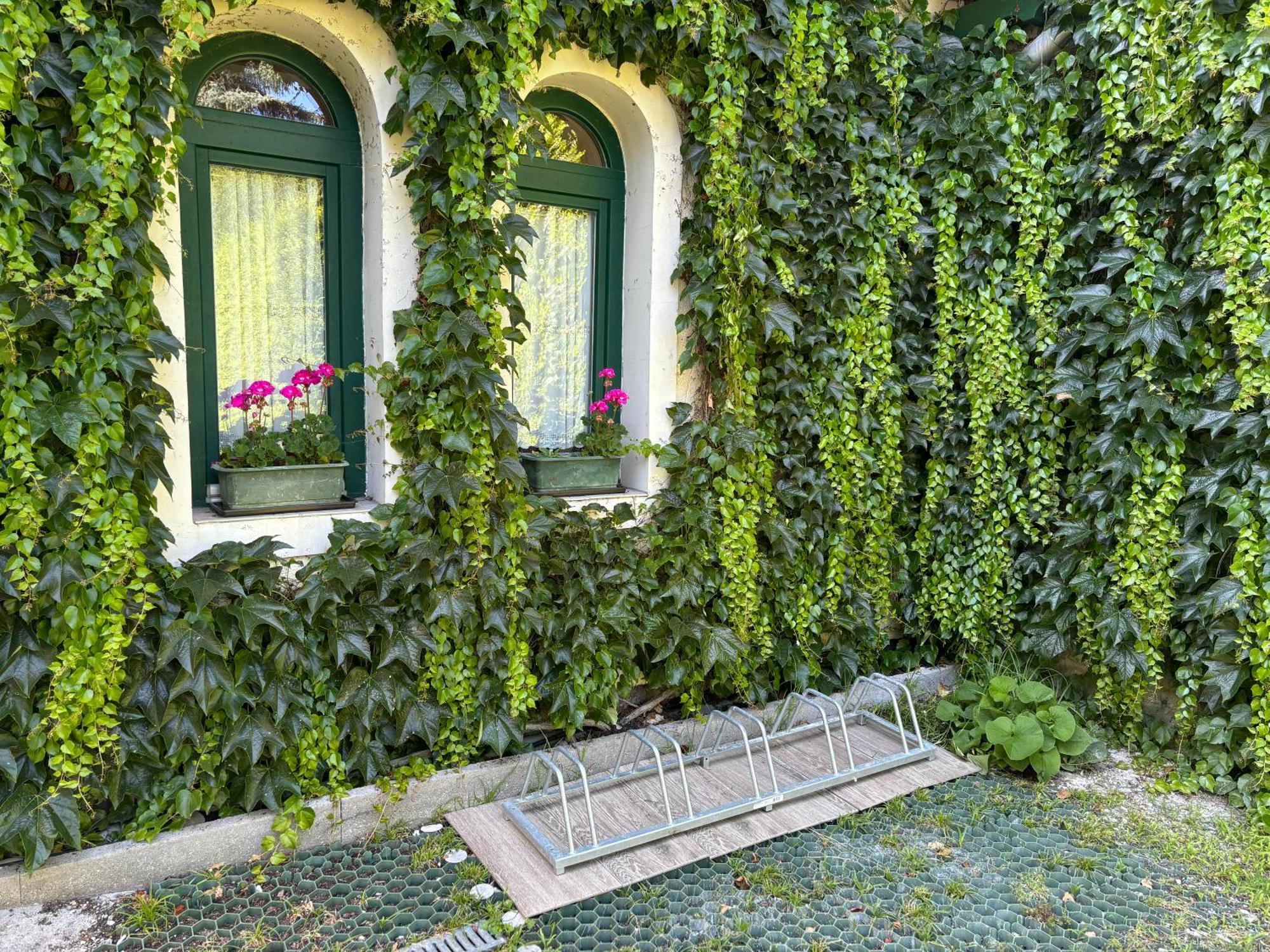 Szalay Villa Veszprém Екстериор снимка